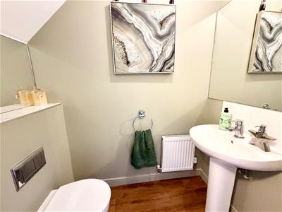 Picture 8